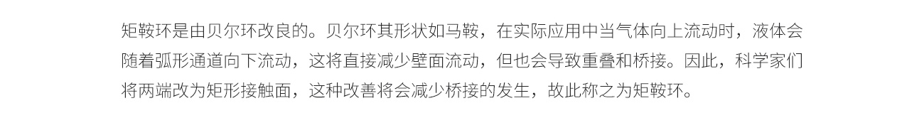 矩鞍环1300_04.jpg