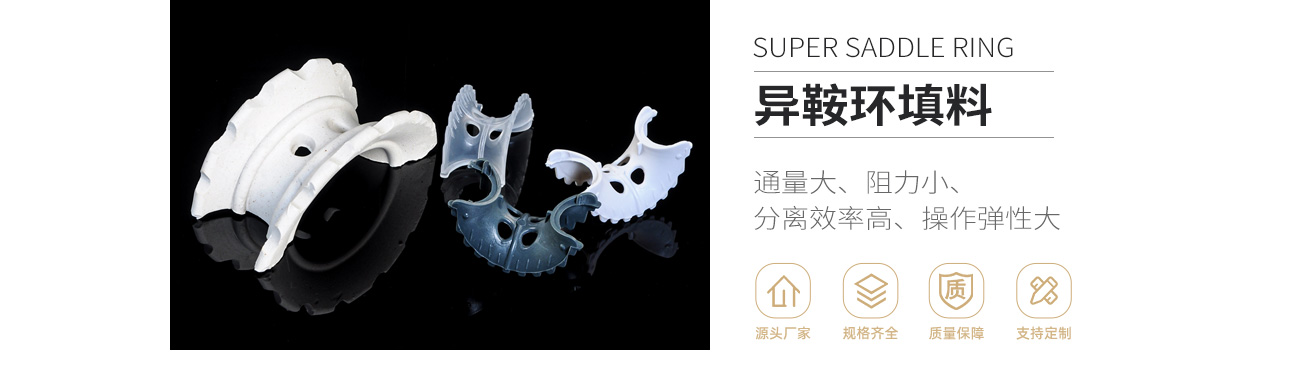 异鞍环1300_01.jpg