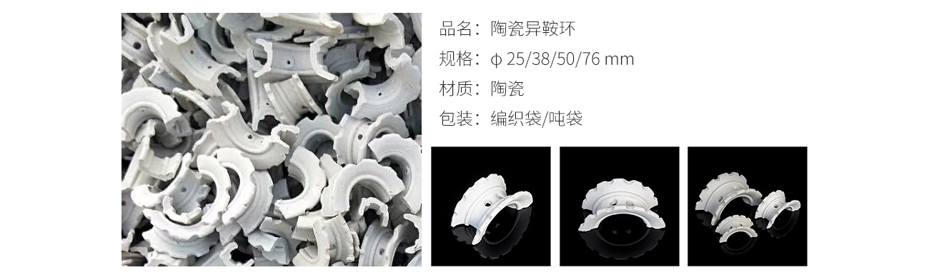 异鞍环1300_07.jpg