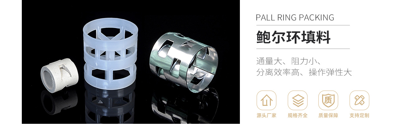 鲍尔环1300_01.jpg