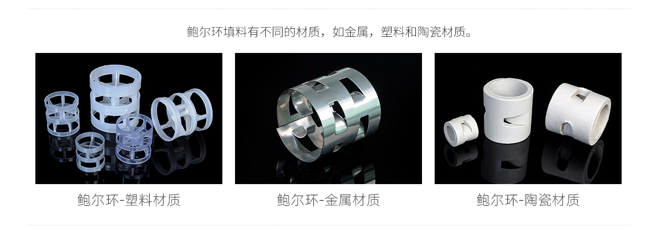 鲍尔环1300_02.jpg