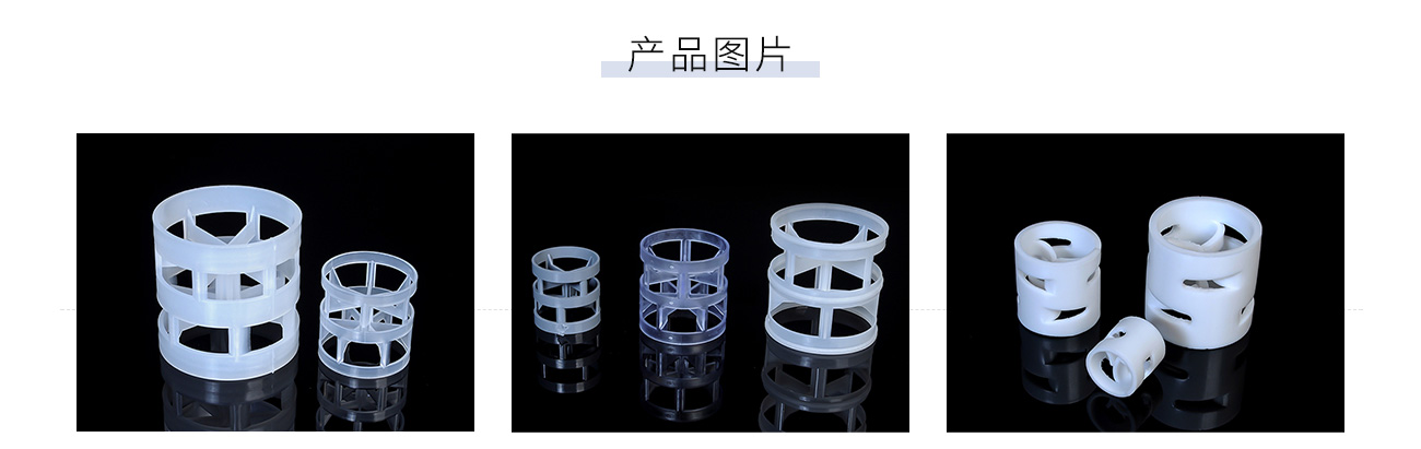 塑料鲍尔环1300_05.jpg