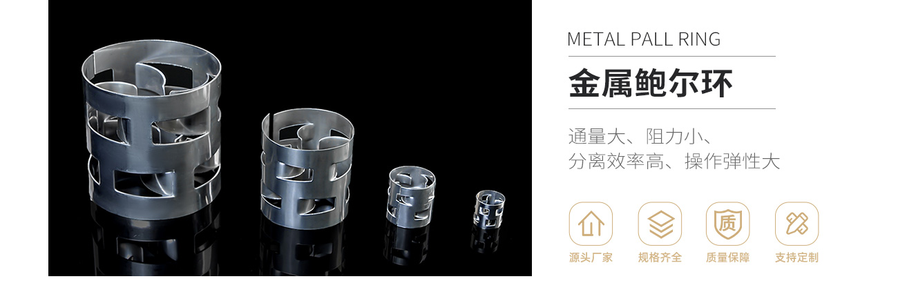 金属鲍尔环1300_01.jpg