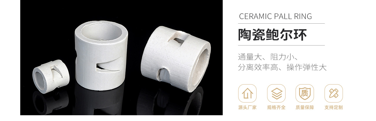 陶瓷鲍尔环1300_01.jpg