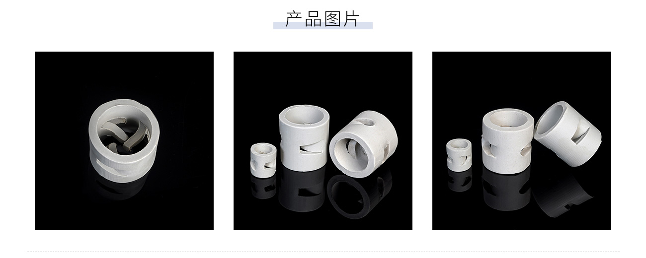 陶瓷鲍尔环1300_04.jpg