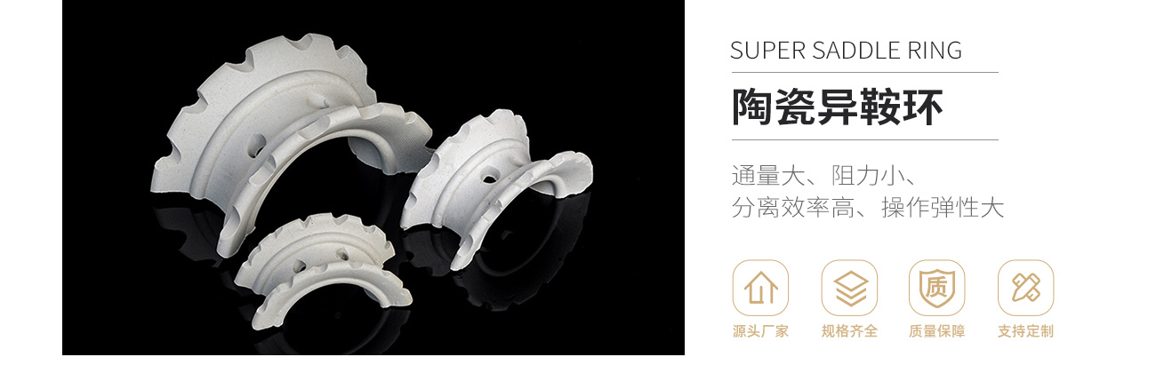 陶瓷异鞍环1300_01.jpg