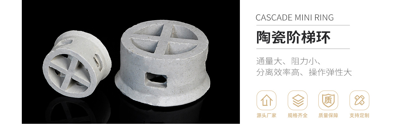 陶瓷阶梯环1300_01.jpg