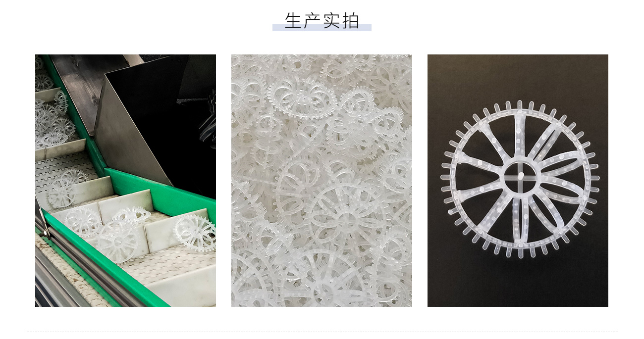 带刺花环1300_05.jpg