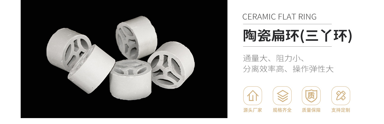陶瓷扁环1300_01.jpg