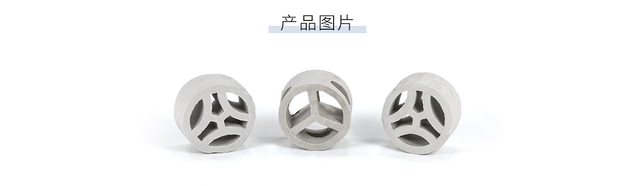陶瓷扁环1300_05.jpg