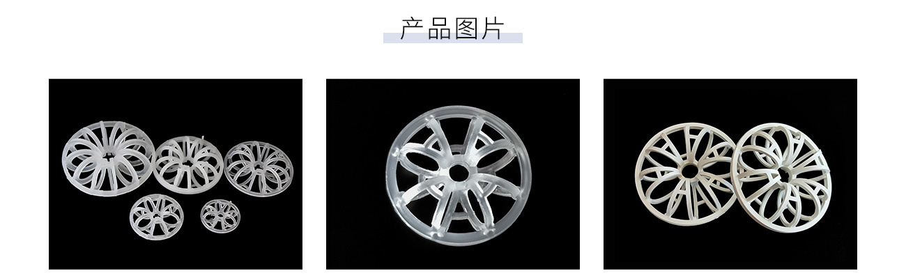 塑料泰勒花环1300_05.jpg