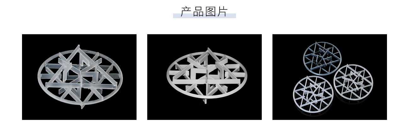 塑料雪花环1300_05.jpg