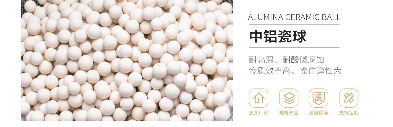 5中铝瓷球_01.jpg