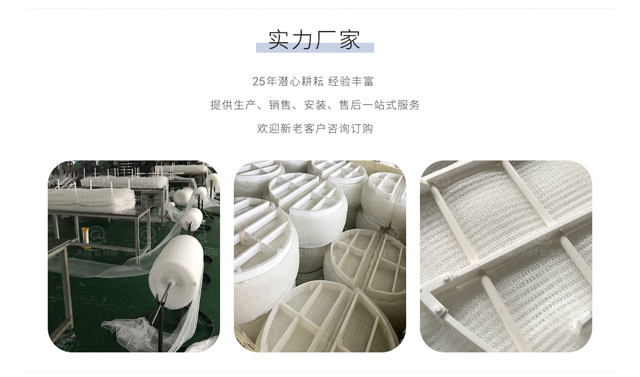 塑料丝网除沫器.png