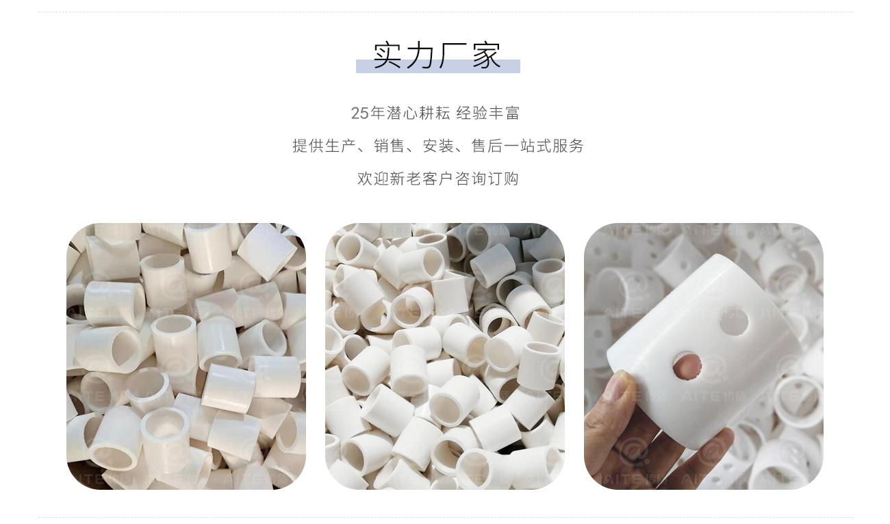 PTFE拉西环.png
