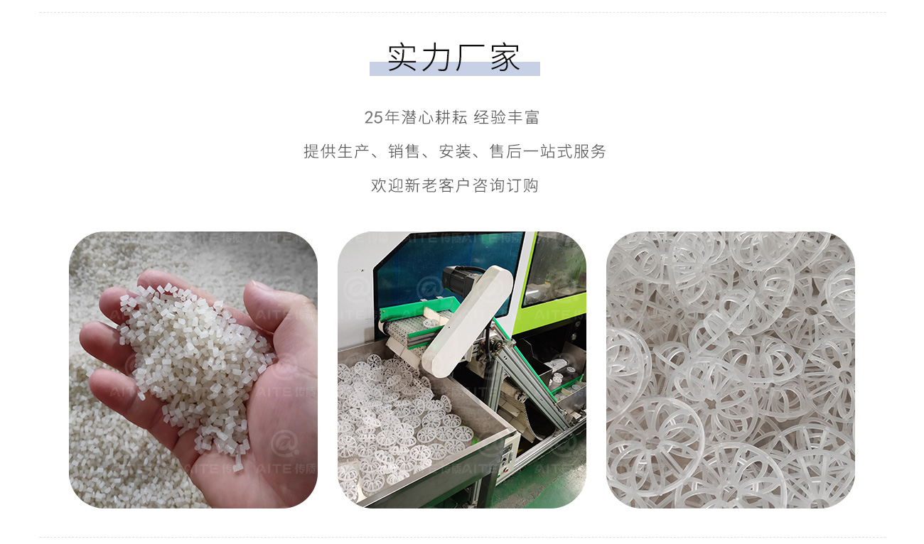 塑料泰勒花环.png