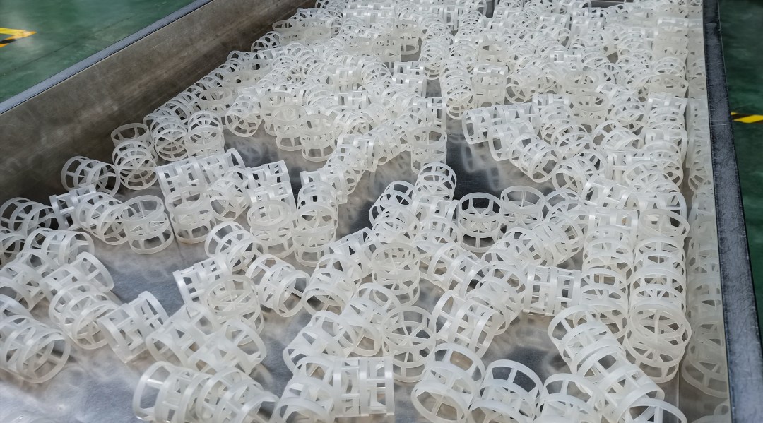 pvdf-pall ring-38mm-pure-material 1_副本.jpg
